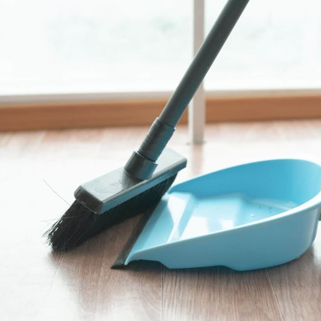 dustpan